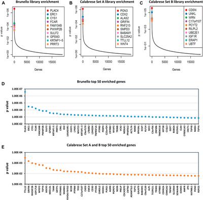 CRISPR library screening to develop HEK293-derived cell lines with improved lentiviral vector titers
